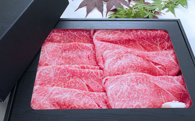 【飛騨牛】海津市産モモしゃぶしゃぶすき焼き用スライス 【配達不可：離島】 お肉 牛肉 鍋 牛鍋 もも肉 ブランド牛 赤身 適度なサシ 霜降り 濃厚 旨味 脂身が少ない 肉じゃが 炒め物 ダイエット 岐阜県産 国産 