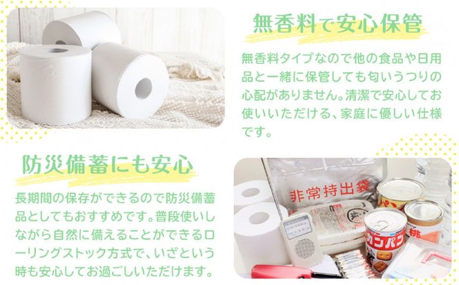 トイレットペーパーせんだいリサイクル伊達な巻物　ダブル96ロール　●　仙台市 トイレットペーパーせんだいリサイクル 伊達な巻物 ダブル 96ロール 柔らかい 2枚重ね 家庭用 生活必需品 日本製 トイレ用品 日用品 まとめ買い お取り寄せ 通販 送料無料 ふるさと納税 041009_HN003