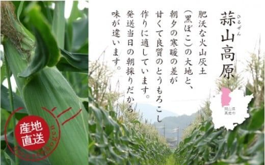 蒜山高原 とうもろこし イエロー20本 / 数量限定 人気 朝採り 新鮮 スイートコーン トウモロコシ 高糖度 甘い 夏野菜 岡山県 真庭市 産地直送 ギフト 【配送不可地域：北海道／沖縄県／離島】【jujy002-02】