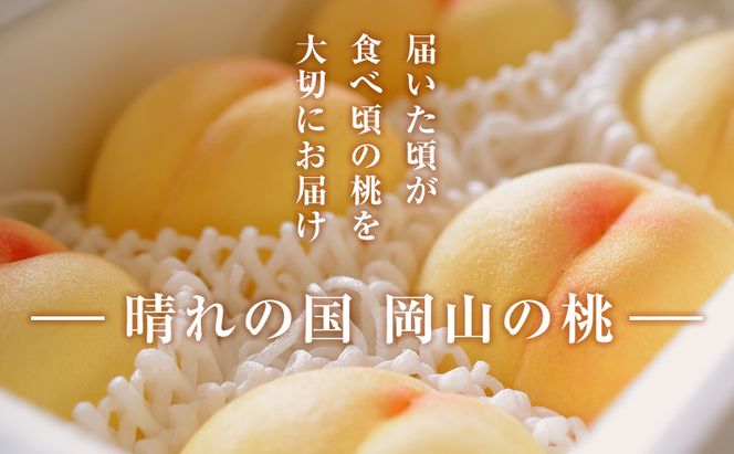 【 2027年 先行予約】 桃 岡山県産 加納岩 白桃 約1.2kg（4～5玉） 《2027年6月下旬-7月上旬頃出荷》 白桃 岡山 はくとう スイーツ フルーツ 果物 先行予約 数量限定 期間限定 岡山 里庄町 モモ もも 桃