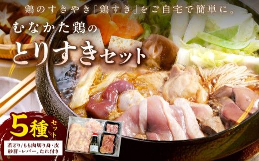 y@szỷwނȂzy ނȂ{̂Ă Ƃ肷Zbgi3`4lOj_HA0688