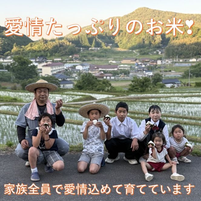 令和8年度産 あきたこまち 10kg (5kg×2袋) 米 お米 精米 岡山 高梁市