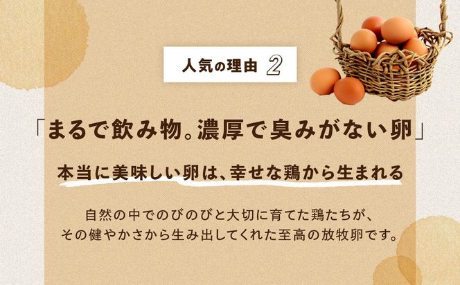 黒富士農場人気No．1セット　人気　おすすめ　国産　贈答　ギフト　お取り寄せスイーツ　お菓子　バウムクーヘン　卵　たまご　タマゴ　玉子　鶏卵　放牧卵　平飼い　新鮮　たまごかけご飯　B-2