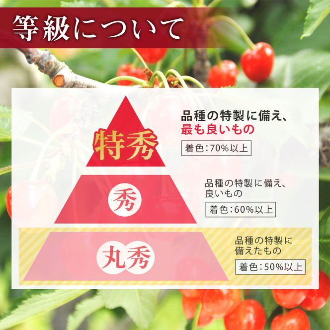 FYN6-632 ≪2027年先行予約≫ご家庭用 山形県産 品種おまかせ さくらんぼ(佐藤錦・紅秀峰など) 720g(180g×4パック) 丸秀品 L以上 フードパック詰め 2027年6月中旬から順次発送 果物 くだもの フルーツ サクランボ チェリー 自宅 家庭 産地直送 山形県 西川町 月山