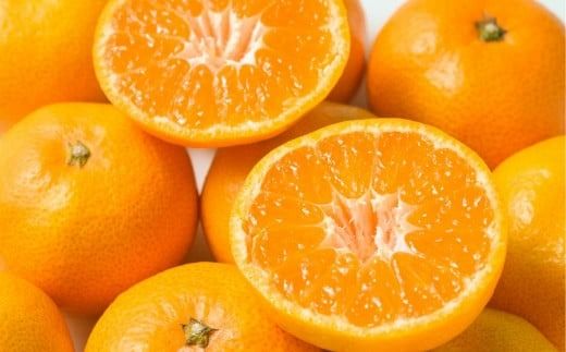 【先行予約】【家庭用】早生みかん 5kg ※離島への配送不可 （2026年11月10日より順次発送） IKTA040