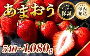 福岡県産 あまおう 540g～1080g 送料無料 いちご 果物 フルーツ ギフト 季節限定 スイーツ ケーキ ブランド 先行予約 2024年12月より順次発送 TY050