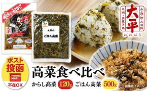 【長崎県産高菜100%使用】 高菜漬け 食べ比べ セット 620g (からし高菜 120g ごはん高菜 500g) / 漬物 高菜 漬け物 ご飯のおとも 惣菜 / 南島原市 / 大平食品[SAK008]