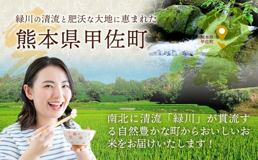 【先行受付】新米 令和7年産『甲佐の輝き』精米10kg（5kg×2袋）【2025年10月より配送月選択可！】- 国産 白米 精米 お米 ブレンド米 複数原料米 訳あり 厳選 マイスター 生活応援 ひのひかり 森のくまさん おすすめ 熊本県 甲佐町【価格改定XJ】