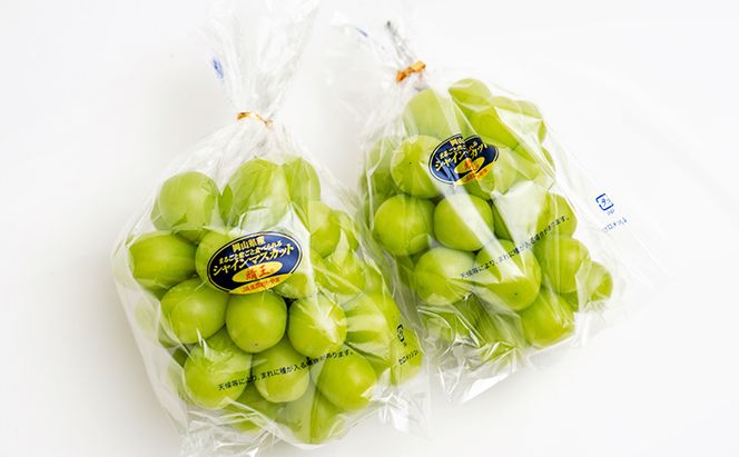 桃 ぶどう 2026年 先行予約 果物詰合せ 白桃 2玉（1玉200g以上） シャイン マスカット 晴王 2房（合計約940g）化粧箱入り 岡山県産 国産 フルーツ ギフト もも 果物類 