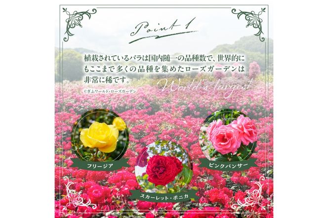 ぎふワールド・ローズガーデン 入園券 2枚【0070-001】