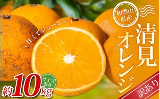 【訳あり】手選別 清見オレンジ 約10kg 和歌山県産 2S~2Lサイズ混合※2026年2月上旬～5月中旬頃に順次発送【mrmt025A】