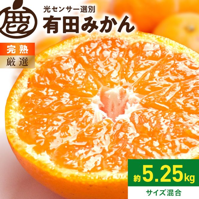 《2026年11月上旬～2027年1月下旬頃に順次発送》【2026年先行予約】厳選 完熟有田みかん約5kg+250g（傷み補償分）【光センサー選果】_ZH7124