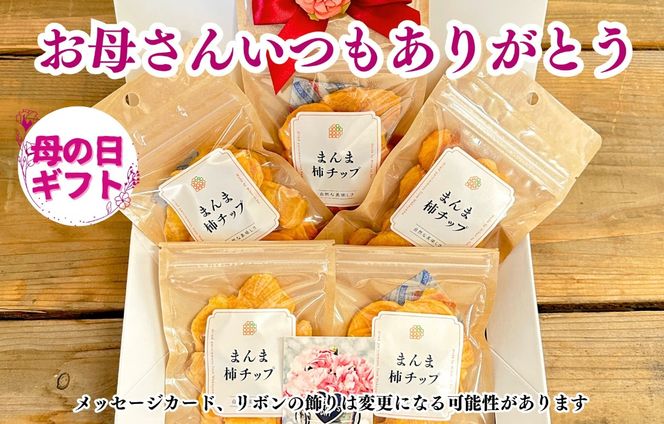 【母の日ギフト】まんま柿チップ 200g (40g × 5袋) ドライフルーツ  和歌山県産 果物使用 国内製造 【みかんの会】 AX353