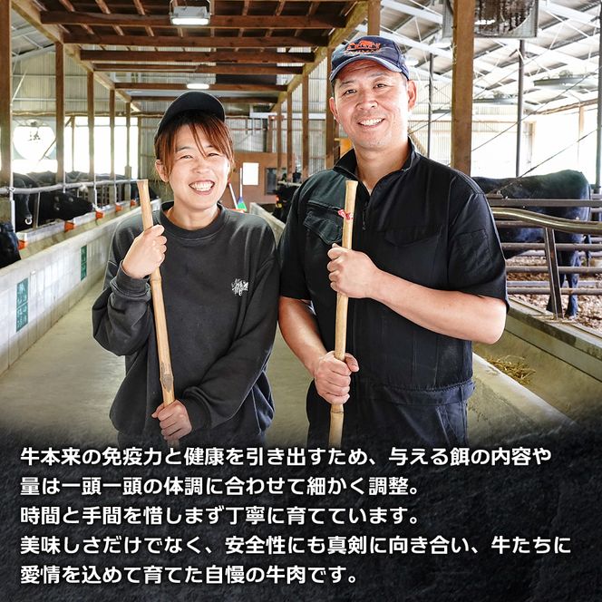 淡路島産プレミアム牛 イザナミ黒牛ホルモンミックス 1.5kg（500g×3パック）