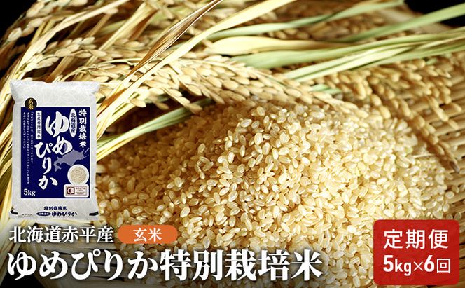 玄米 北海道赤平産 ゆめぴりか 5kg 特別栽培米 【6回お届け】 米 北海道 定期便 お米 ふるさと納税 