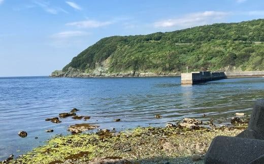 【漁師秘伝のスープ】魚ギョっとつまったブイヤベース 220g×2 （2025年9月上旬から順次発送） IKTAM001