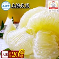 【2回定期便】園主こだわりの土佐文旦　10キロ（18～24玉） 〈2027年2月・3月発送〉 先行予約 定期コース 2ヶ月 ぶんたん ブンタン 柑橘 みかん フルーツ 果物 家庭用 お取り寄せ 高知県 土佐市【やの一果彩】[BQAC009]