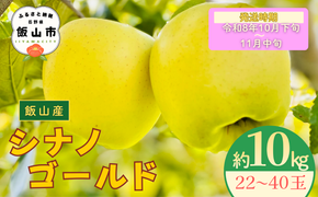 【先行予約丨2026年10月下旬より順次発送】シナノゴールド【約10kg (22〜40玉)】(At-016)丨長野県 飯山市 おすすめ ランキング おいしい 高評価 大人気 先取り 産地直送 りんご