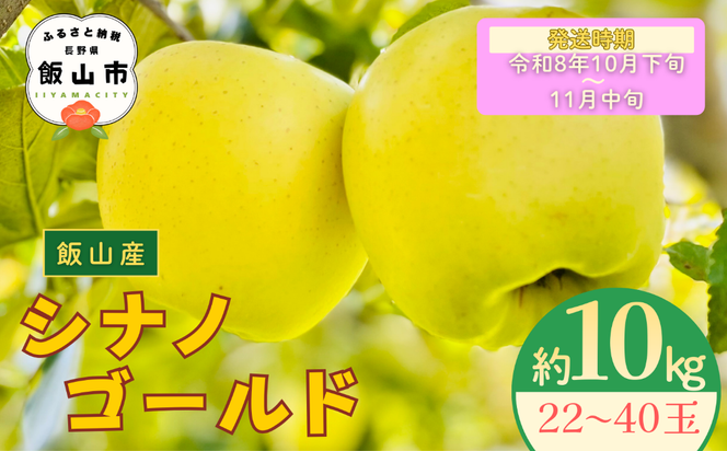 【先行予約丨2026年10月下旬より順次発送】シナノゴールド【約10kg (22〜40玉)】(At-016)丨長野県 飯山市 おすすめ ランキング おいしい 高評価 大人気 先取り 産地直送 りんご