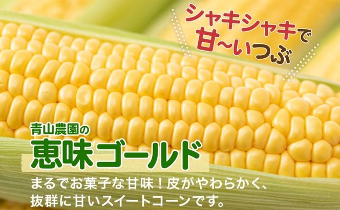北海道 月浦 めぐみ ゴールド 雪の妖精 5kg 先行受付 2026年8月中旬～9月中旬頃お届け とうもろこしトウモロコシ とうきび コーン 恵味 旬 野菜 朝採り 産地直送 青山農園