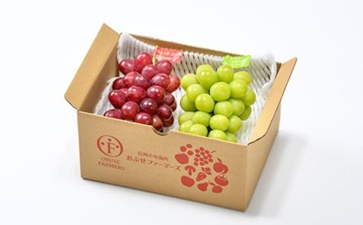 クイーンルージュ® &シャインマスカット 詰合せ 各1房 約1kg ［おぶせファーマーズ］ 果物 フルーツ くだもの ぶどう 葡萄 ブドウ クール便 冷蔵便 令和7年産 【2025年9月下旬～10月下旬発送】 ［F-541］