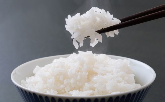 先行予約 新米 令和7年産 コシヒカリ 10kg 24000円 お米 白米 精米 米 こめ 産地直送 国産 農家直送 期間限定 数量限定 特産品 先行 事前 受付 令和7年度産 2025年産 もっちり 粘り 甘み おいしい おにぎり こしひかり 内祝い お祝い 贈答品 お返し プレゼント ギフト 土産 御礼 お礼 お取り寄せ 田中均 愛南町 愛媛県