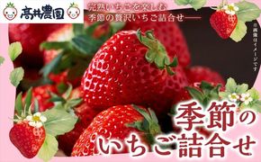 【朝採れ直送のご褒美苺】季節のいちご詰合せ 1パック約12～18個入 いちご 果物 フルーツ 大粒 濃厚 産地直送 詰め合わせ ギフト 贈答用 兵庫県 福崎町
