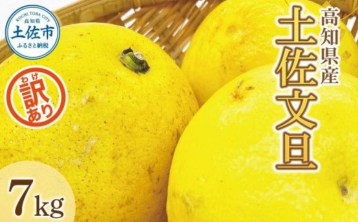 【先行予約】数量限定！【訳あり】土佐文旦（ぶんたん）家庭用（M~5L 混合）約7kg 〈2027年2月中旬～発送〉文旦 7キロ 土佐文旦発祥の地 産地直送 約10~22玉 大玉 特大 3l 4l ぶんたん ブンタン 柑橘 果物 フルーツ お取り寄せ おいしい 訳あり 傷 【株式会社とさもん】 [BQAE031]