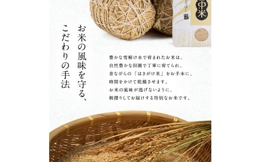 令和8年産【定期便隔月4ヶ月】 特Aランク米 ゆめぴりか 無洗米 20kg（5kg×4袋）【12月発送】雪冷気 籾貯蔵 雪中米 北海道 nr-1888