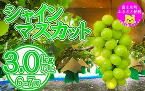 【数量限定】【2025年発送分 先行予約】シャインマスカット（３ｋｇ以上・６～７房）　シャイン マスカット ぶどう ブドウ 葡萄 フルーツ 果物 くだもの 山梨 やまなし 富士川町