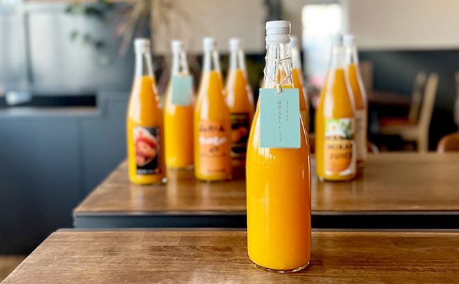 海津っ子の想い出の味　最高のみかんジュース　2本セット 果汁飲料 野菜飲料 