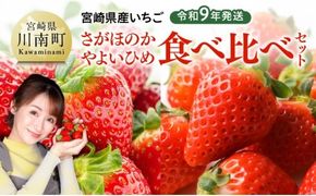 果物 【令和9年発送】　宮崎県産いちご　「さがほのか＆やよいひめ」食べ比べセット 【 先行予約 期間限定 果物 イチゴ 苺 フルーツ 】 [B03801]