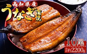 うなぎ蒲焼 10尾(合計約2200g) 高知県産養殖 土用の丑の日 鰻 ウナギ 蒲焼き かば焼き かばやき うな丼 うな重 須崎市道の駅 高知県 香南市 ss-0037
