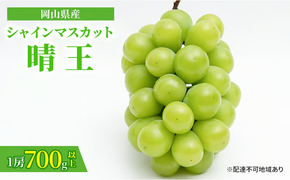 ぶどう 2026年 先行予約 シャイン マスカット 晴王 1房 700g以上 化粧箱入り マスカット ブドウ 葡萄 岡山県産 国産 フルーツ 果物 ギフト 高級ぶどう 大粒 種なし 贈答品 [№5735-1462]