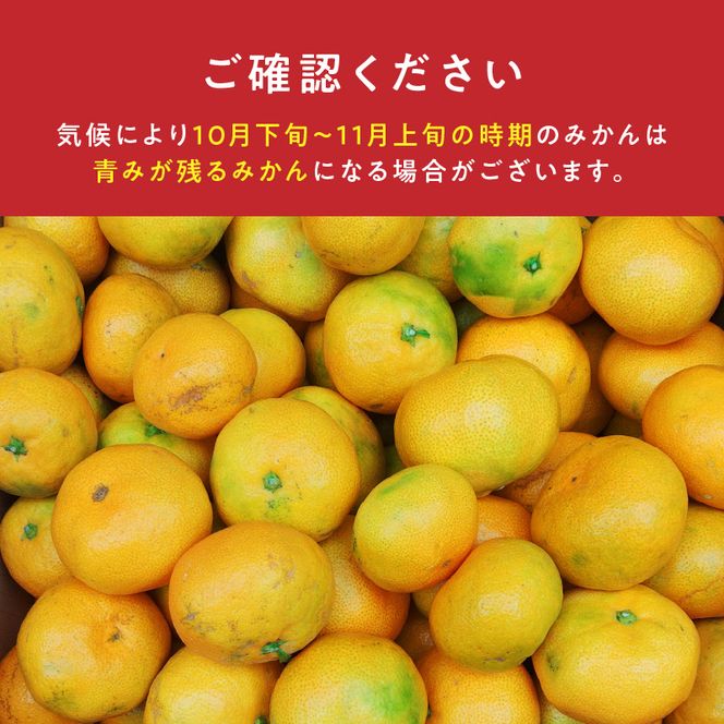 《2026年10月末～2027年1月中旬頃に順次発送》【2026年先行予約】庄助みかん (家庭用・サイズ混合) 約10kg_BK6022