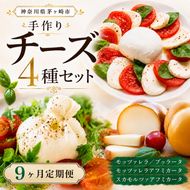 【 9ヶ月定期便】チーズ 4種 詰め合わせ 各1個 Osteria e Bottega S モッツァレラチーズ ブラッターチーズ スカモルツァアフミカータ 神奈川県 茅ケ崎市 乳製品 牛乳 手作業 ミルク 銀賞 幻のチーズ スモーク 塩漬け 美味しい おつまみ ピザ