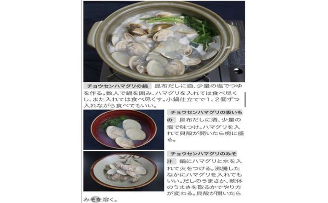 うま味が濃い純白出汁の天然”ゼンナ”冷凍（蛤小）3kg入り 魚貝類 旨み 濃厚な出汁 天然はまぐり 身が厚い 甘み 貝 海の幸 海鮮 国産 九十九里浜産 