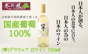 春日井ワイナリ－春の風 2024(寧)デラウェア 白ワイン 750㎖