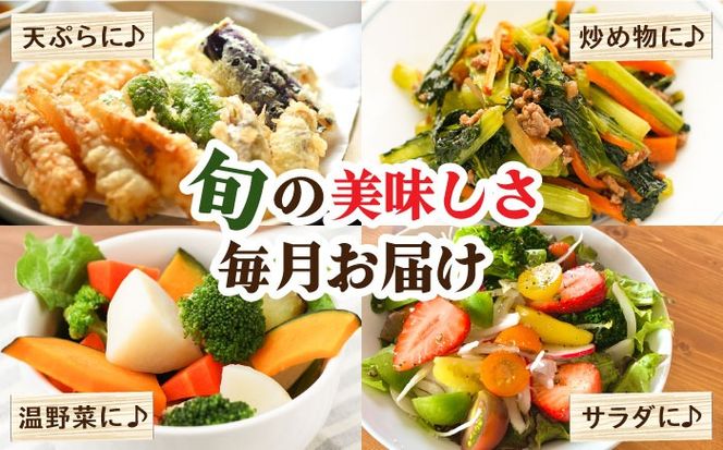 【春秋冬限定コース】豪華！野菜 果物 きのこセット 15品目以上 9回定期便 / 野菜定期便 やさい定期便 フルーツ 果物 キノコ 詰め合わせ / 南島原市 / 吉岡青果[SCZ024]