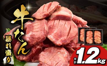 099H3013 牛たん 暴れ盛り 1.2kg 小分け 600g×2P 牛肉 牛タン 焼肉 BBQ 焼くだけ 簡単調理 訳あり サイズ不揃い 小分け 人気 厳選 期間限定