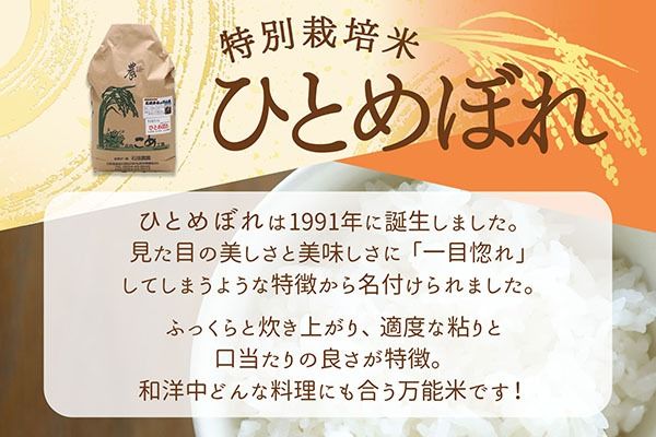 【新米受付】令和8年産 特別栽培米 ひとめぼれ 10kg 石垣農園 5kg×2袋 2026年産 ブランド米 米 国産 単一原料米 山形 庄内平野 コシヒカリの原点、亀の尾発祥の地 庄内【R8.10月以降発送開始/入金期限：2026年9月15日】