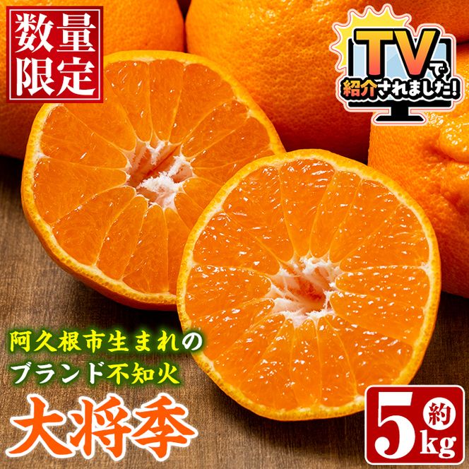 ＜先行予約受付中！2027年1月中旬以降順次発送予定＞ 阿久根市で生まれたオリジナル品種「大将季」(約5kg・15～24玉) 果物 フルーツ 柑橘 果実 ハウス栽培 ギフト 【鹿児島いずみ農業協同組合】akn018-22