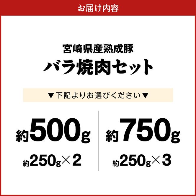 宮崎県産熟成豚 バラ焼肉セット N0105-YA2282-sku