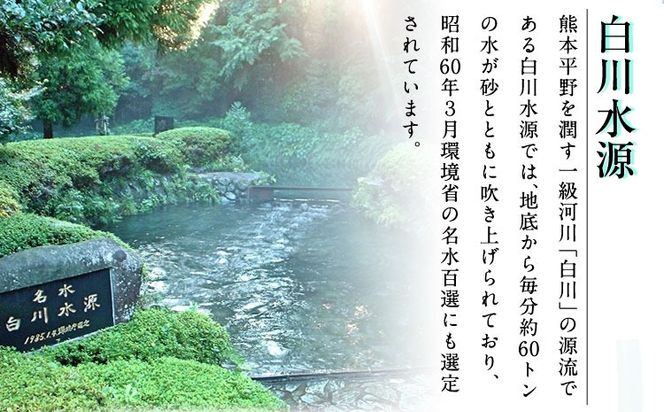 日本名水百選ミネラルウォーター「南阿蘇・白川水源」くまモンボトル 500ml×12本入 2ケース 《30日以内に出荷予定(土日祝除く)》熊本県 南阿蘇村 物産館自然庵 水 ミネラルウォーター---sms_szmwk_30d_12500_12px2---
