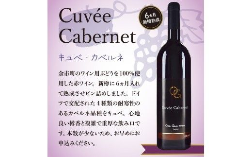 【OcciGabi Winery】おススメ黒ラベルシリーズ４本セット　【余市のワイン】 ワイン 白ワイン 赤ワイン 人気ワイン ワインセット 余市のワイン 北海道のワイン 日本のワイン 国産ワイン _Y012-0114
