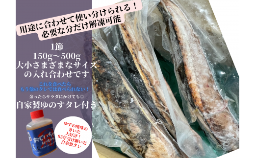 【四国一小さなまち】 ≪期間・数量限定≫  ★訳あり★  高知県産カツオのわら焼きタタキ（自家製タレ付）2.6kg