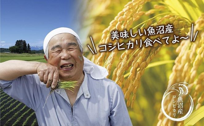 魚沼産 コシヒカリ 5kg ×2袋 計10kg お米 こしひかり 新潟 （お米の美味しい炊き方ガイド付き） 精米 ご飯 ブランド米 銘柄米 