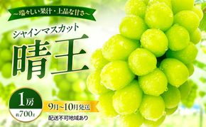 ぶどう 2026年 先行予約 シャインマスカット 晴王 1房 約700g 9月～10月発送 岡山県産 種無し 皮ごと食べる みずみずしい 甘い 瀬戸内 晴れの国 おかやま 果物大国 満天フルーツ