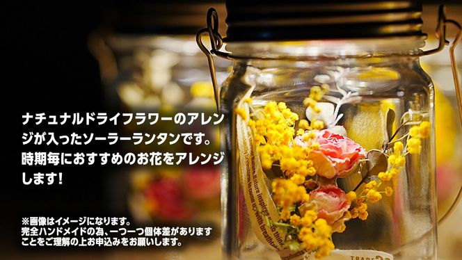 ソネングラス 38explore 箱付き sonnenGlass sonnenglas mini 38explore toreotto38 38kenkyujo8
