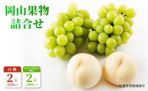 桃 ぶどう 2026年 先行予約 果物 詰合せ 白桃 2玉（1玉220g以上）シャインマスカット 晴王 2房（1房480g以上）化粧箱入り 岡山県産 国産 フルーツ ギフト フルーツ詰め合わせ 贈答品 セット 